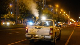 Gece ilaçlama çalışmaları başladı