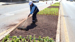 Kuru peyzaj uygulaması yaygınlaştırılıyor