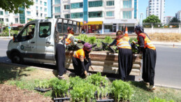 Diyarbakır’da 1 milyon 520 bin çiçek toprakla buluştu