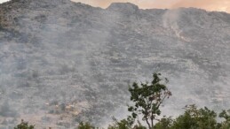 Diyarbakır’ın Hani ilçesindeki orman yangını 24 saatte söndürüldü