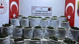 Lice’de 783 Kilo Esrar Yakalandı