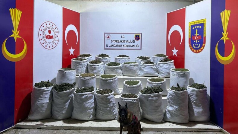 Diyarbakır’da, 603 Kilo Esrar İle 640 Bin 600 Kök Hint Keneviri ve Skunk Ele Geçirildi