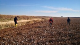 Diyarbakır’da 75 Yaşındaki Alzheimer Hastası Kayboldu