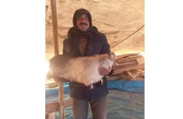 Diyarbakır’da Çobana Yıldırım Çarptı