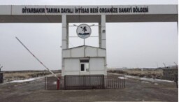 Sığırın Saldırısına Uğrayan Veteriner Teknikerine 70 Dikiş Atıldı