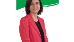 DEM Parti’nin DBB Kadın Eşbaşkan Adayı Belli Oldu