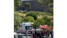 Diyarbakır’da Piknik Yapanların Arasına At Daldı: 1’i Çocuk, 2 Yaralı