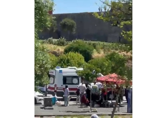 Diyarbakır’da Piknik Yapanların Arasına At Daldı: 1’i Çocuk, 2 Yaralı