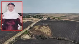 Diyarbakır-Mardin Sınırındaki Yangında Ölü Sayısı 15’e Çıktı!