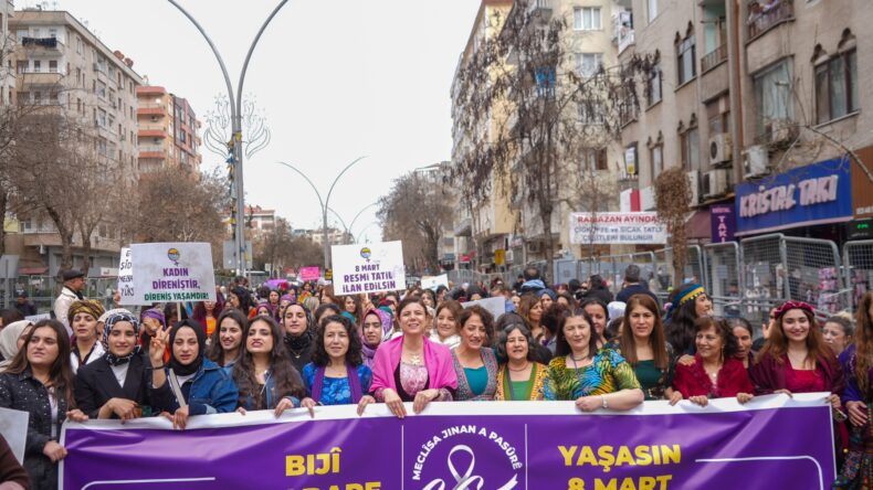 Diyarbakır’da 8 Mart Kadınlar Günü Mitingi Düzenlendi