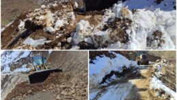 Kulp ilçesinde heyelan sonrası kapanan yol tekrar açıldı