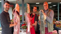 Diyarbakırlı Balıkçı, 100 Kiloluk Turna Balığı Yakaladı