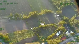 Diyarbakır’da 5,3 Ton Esrar Üretilebilecek 30 Bin Kök Kenevir Ele Geçirildi