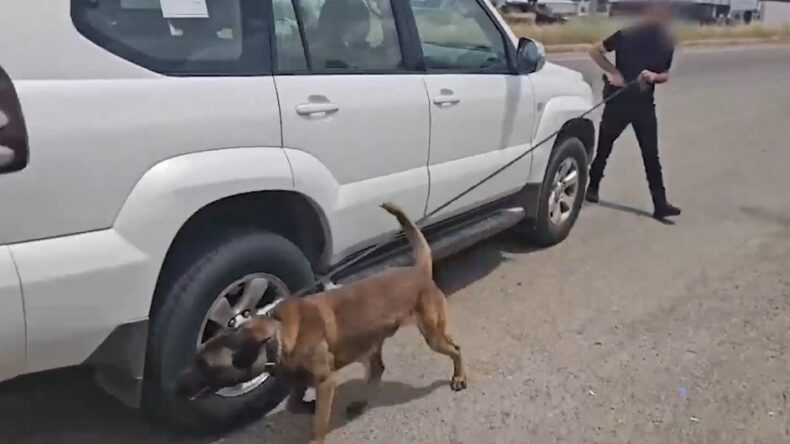 Narkotik Köpeği Zero, Cipin Yakıt Deposunda 93 Litre Sıvı Uyuşturucuyu Buldu