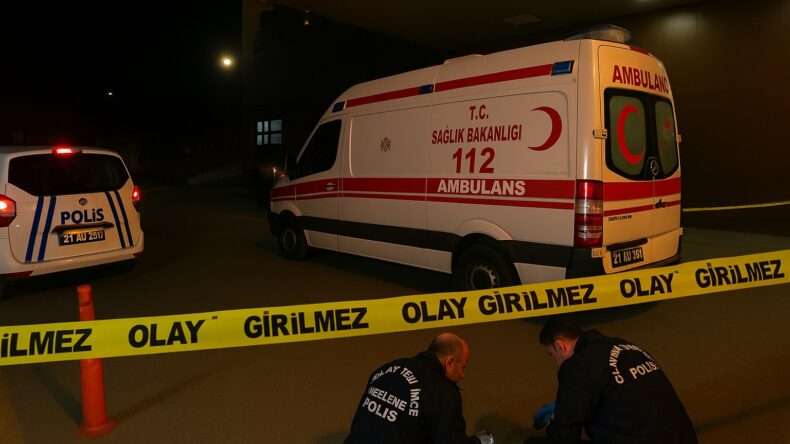 Tartıştığı kardeşini tabancayla öldüren şüpheli, tutuklandı