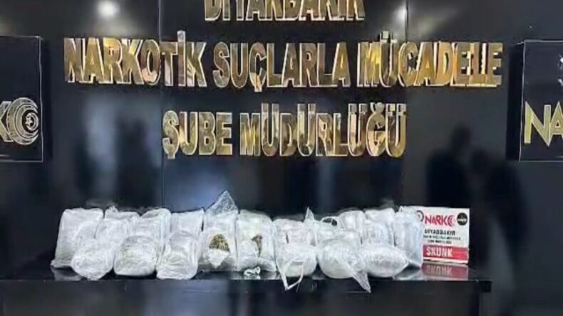 Diyarbakır’da 12 bin 865 kök kenevir ele geçirildi