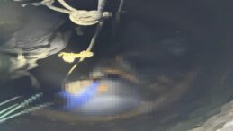 Diyarbakır’da Kuyuya Düşen 4 Kişi Yaralandı; Kurtarma Çalışması Sürüyor