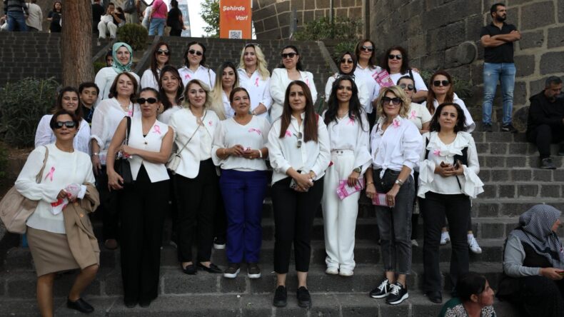 Diyarbakır’da İş Kadınları, Meme Kanseri İçin Broşür Dağıttı