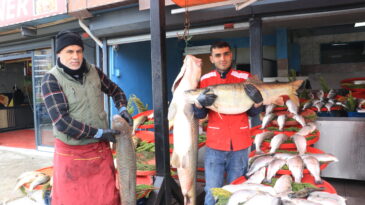 Munzur Çayı’nda Yakaladığı 80 Kiloluk Turnayı Sattı