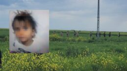 Diyarbakır’da Kaybolan 3 Yaşındaki Yazgül, Evinden 1 Kilometre Uzakta Tarlada Sağ Bulundu