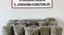 Diyarbakır’da Son Bir Haftada 38,5 Kilo Esrar Ele Geçirildi