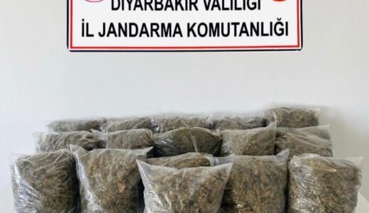 Diyarbakır’da Son Bir Haftada 38,5 Kilo Esrar Ele Geçirildi