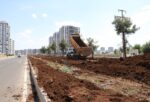 60 Bin Metrekarelik Bulvar Peyzajla Yenileniyor