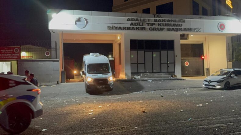 Lice’de Arazi Kavgasında 2 Aylık Gelin Öldürüldü; 7 Gözaltı